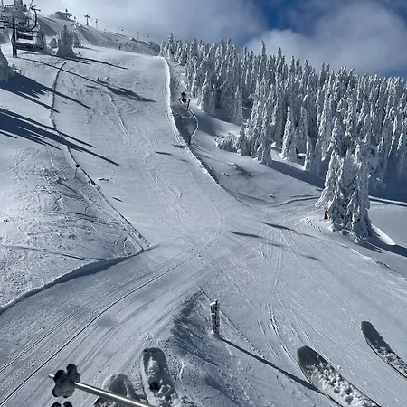Sun & Moon - Milmari Kopaonik