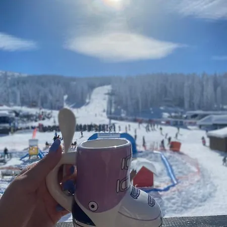 Sun & Moon - Milmari Kopaonik